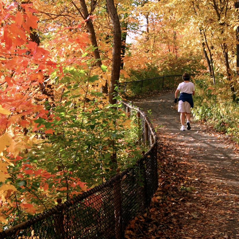 Hiking Trails Within Nashville